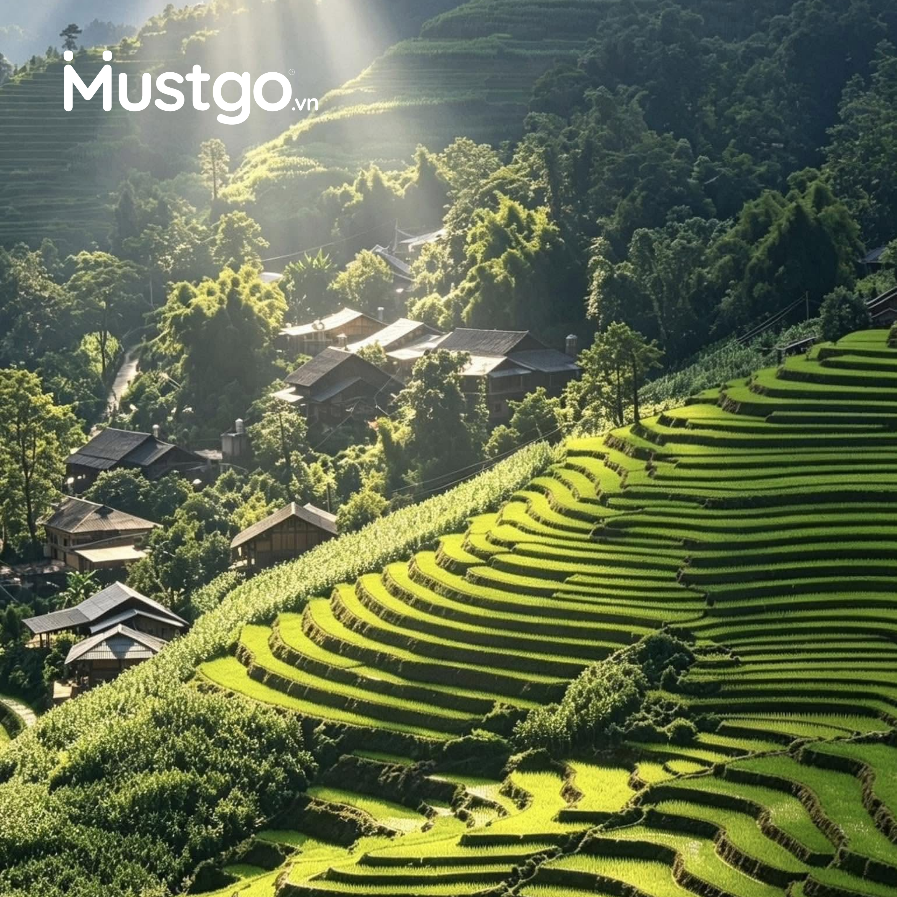 Kinh nghiệm du lịch Sa Pa mùa lúa - Hành trình khám phá vẻ đẹp Tây Bắc