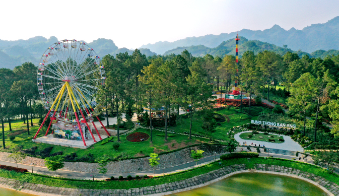 Phoenix Moc Chau Hotel - Rung Thong Ban Ang #5