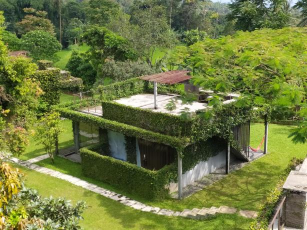 Tea Garden Resort