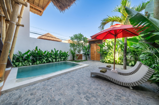 The Secret Jungle Villas Seminyak #5