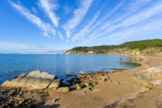 Wohnen Direkt am Meer