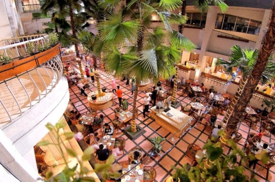 Hotel Savoy Homann #5