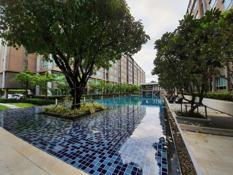 Phuket Service Residence #5