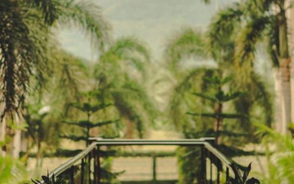 The Pade Hotel