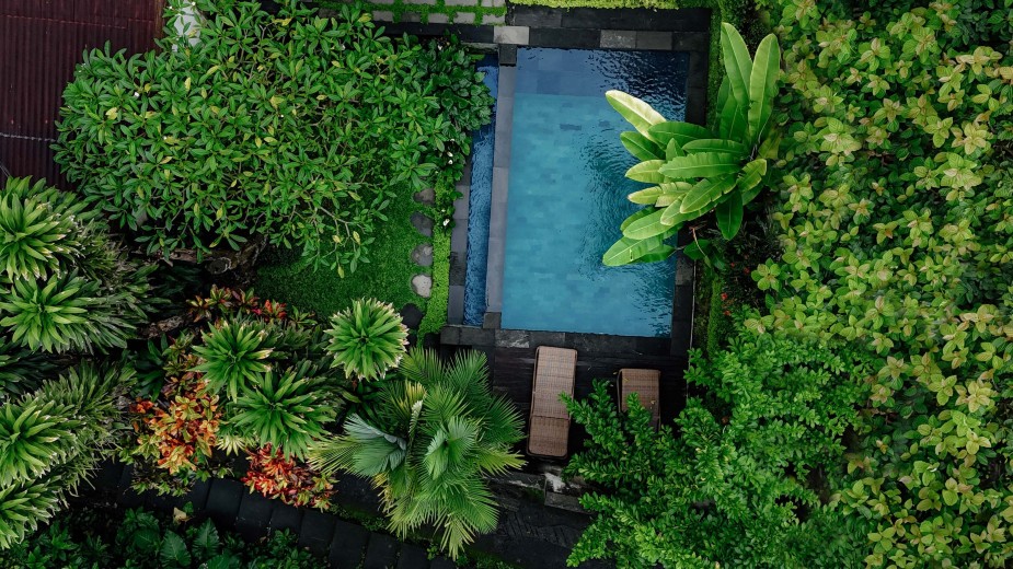 Sari Bamboo Villas #5