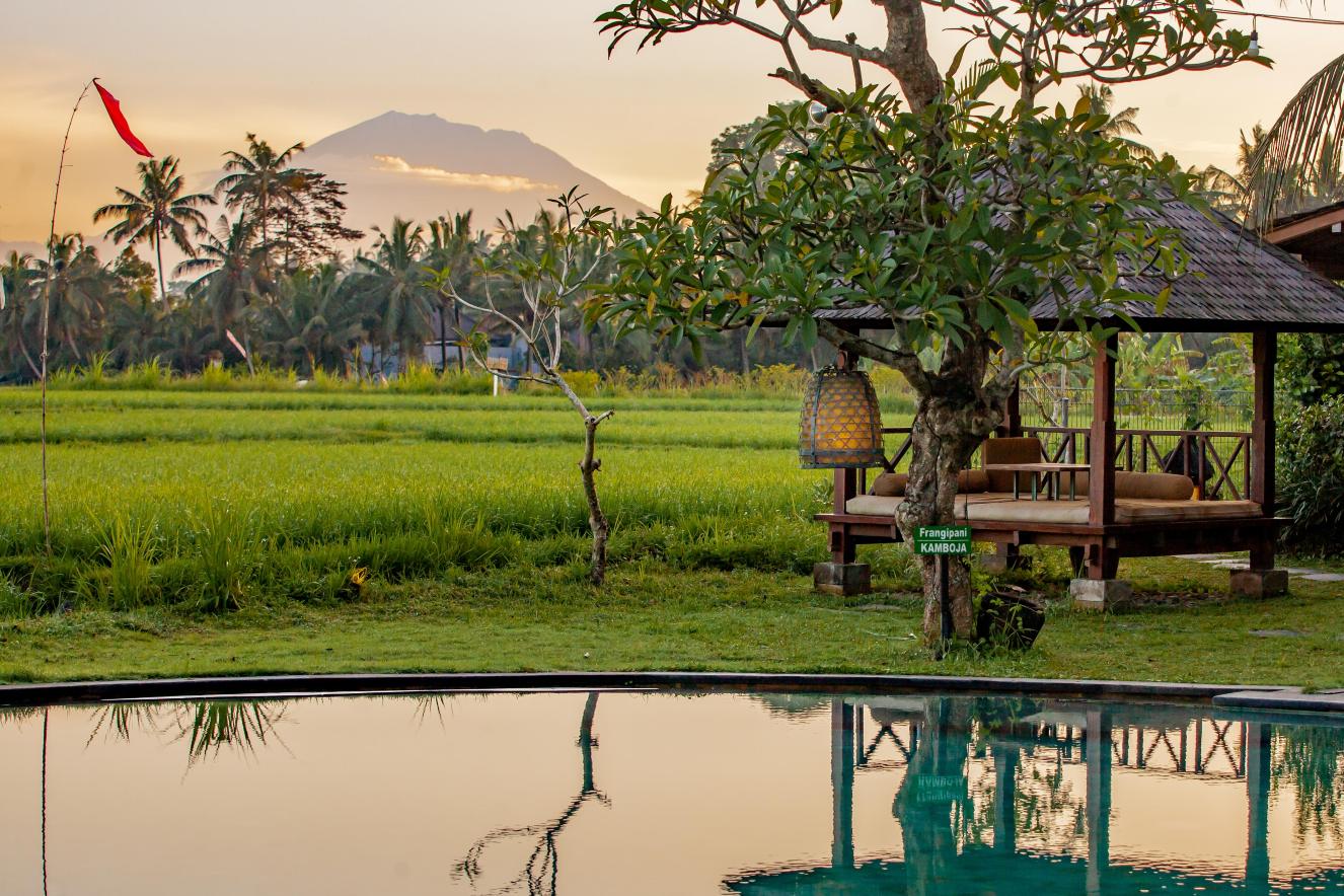 Arya Villas Ubud #5