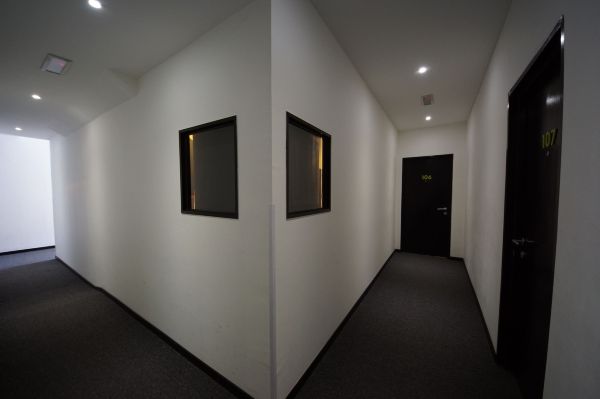 Tulip Hotel #5