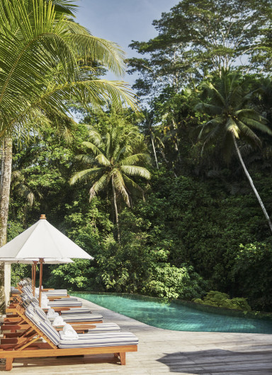 Four Seasons Resort Bali at Sayan #5