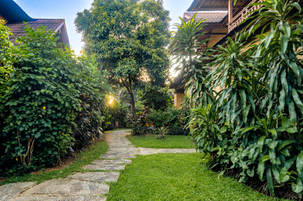 Sri Phala Resort & Villa #5