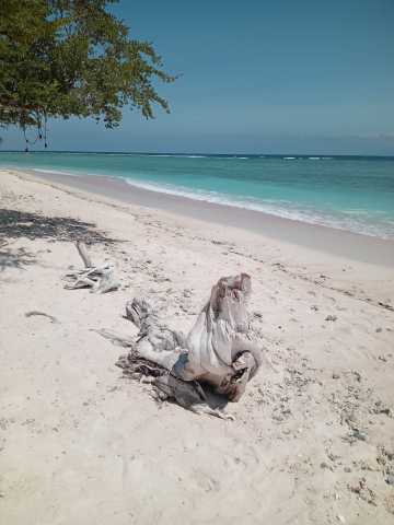 Gili Ocean Club #5