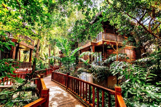 Nhà Rừng Jungle Bungalow #6