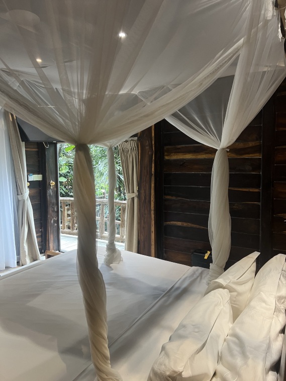 Premium Jungle Bungalow (2 giường đơn) #5