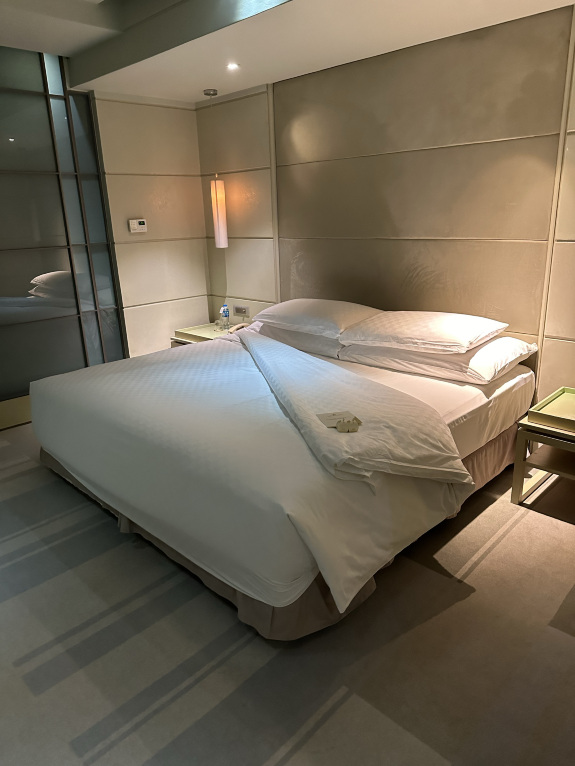 NIKKO EXECUTIVE SUITE KING #10